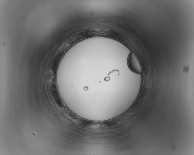 X0000112030752200908241538