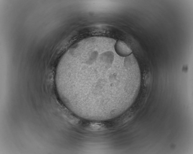 X0000112030753200908241538