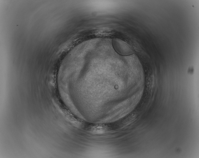 X0000112030755200908241538