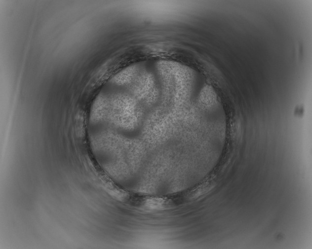 X0000112030757200908241538