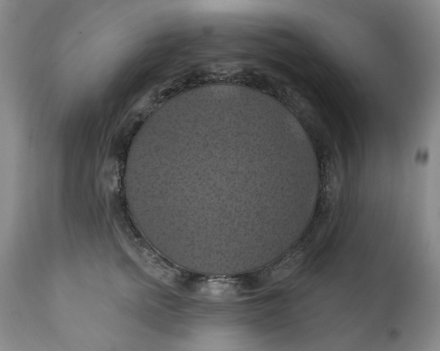 X0000112030758200908241538