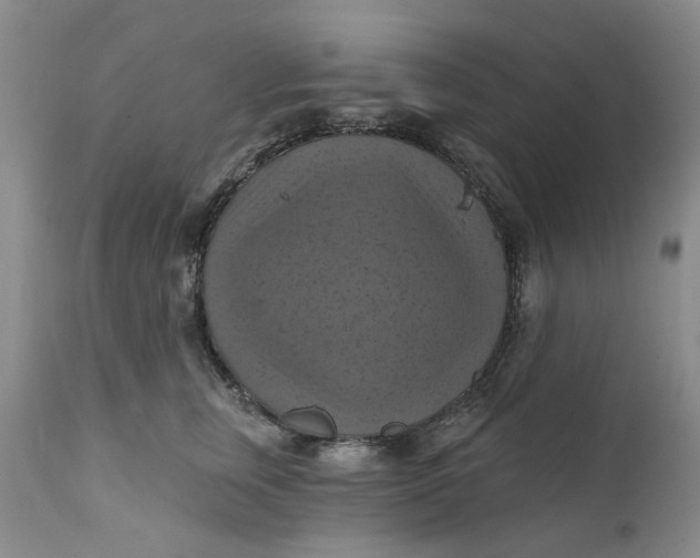 X0000112030759200908241538