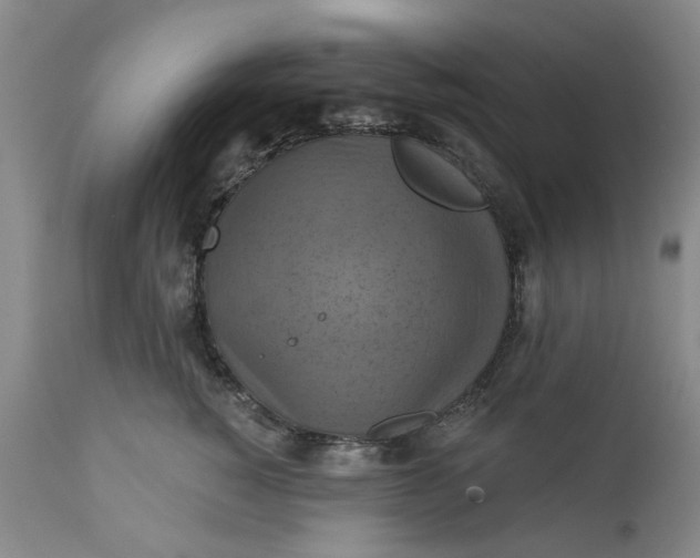 X0000112030760200908241538