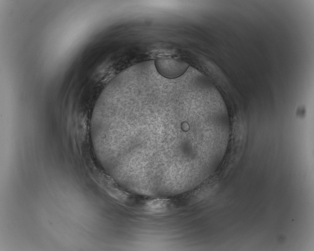 X0000112030761200908241538