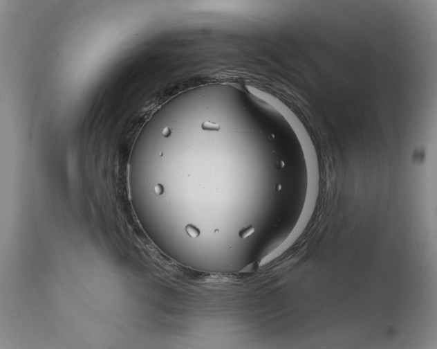 X0000112030762200908241538