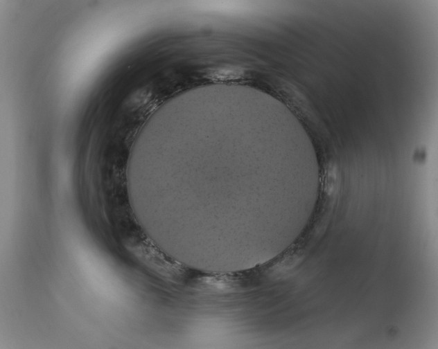 X0000112030763200908241538