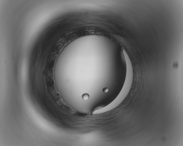 X0000112030764200908241538