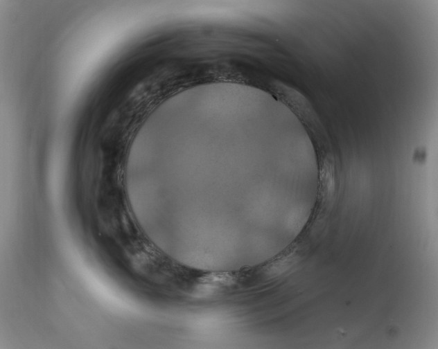 X0000112030765200908241538