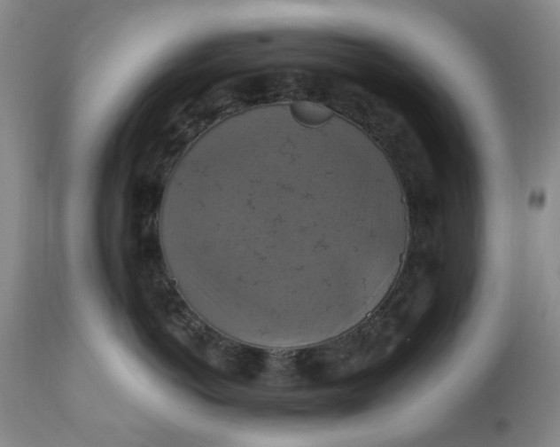 X0000112030766200908241539