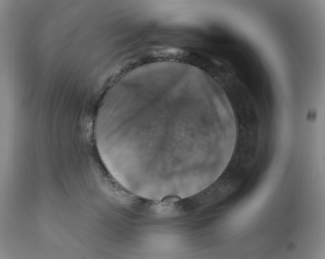 X0000112030767200908241539