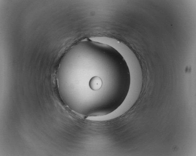 X0000112030768200908241539