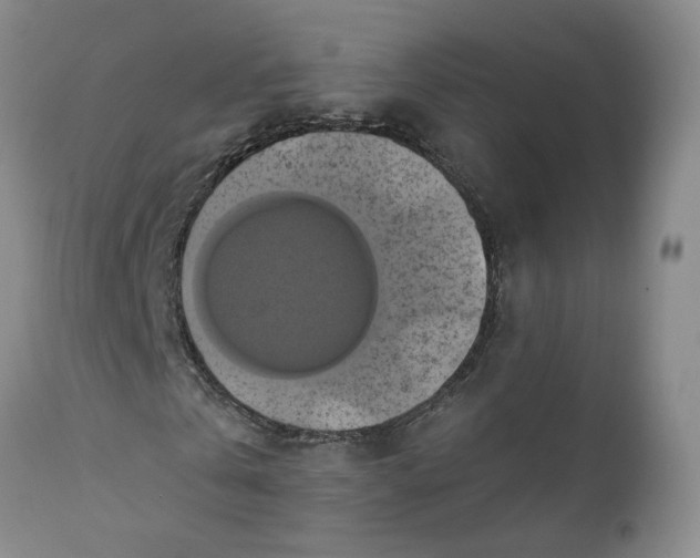 X0000112030769200908241538