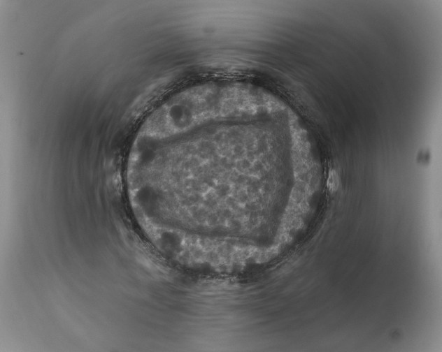 X0000112030771200908241538