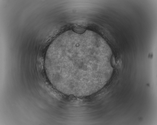 X0000112030772200908241537