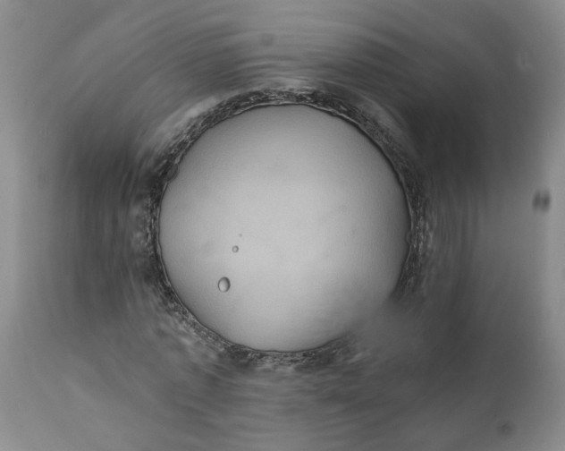 X0000112030773200908241537