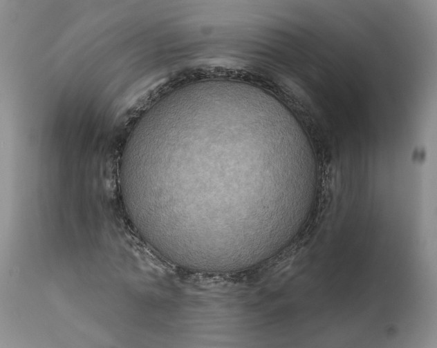 X0000112030774200908241537