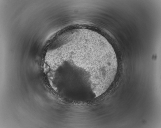 X0000112030775200908241537