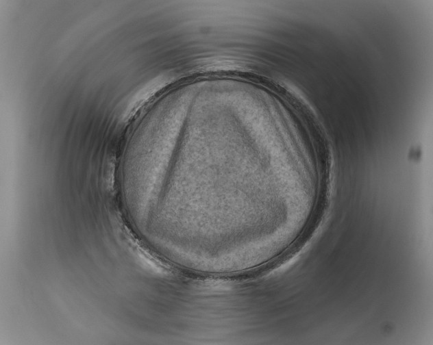 X0000112030777200908241537