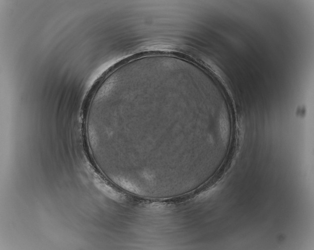 X0000112030779200908241537