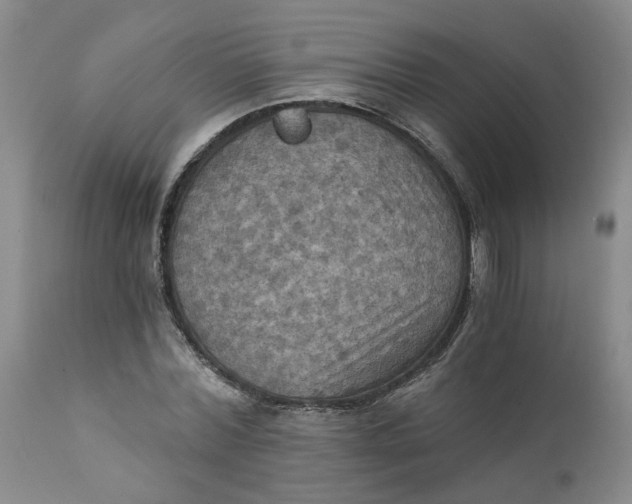 X0000112030780200908241537