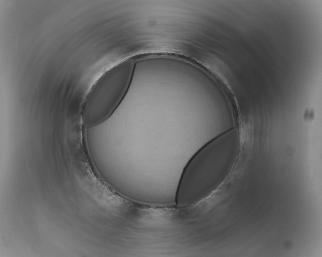 X0000112030781200908241537