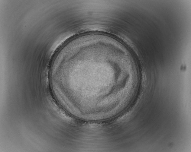 X0000112030782200908241537