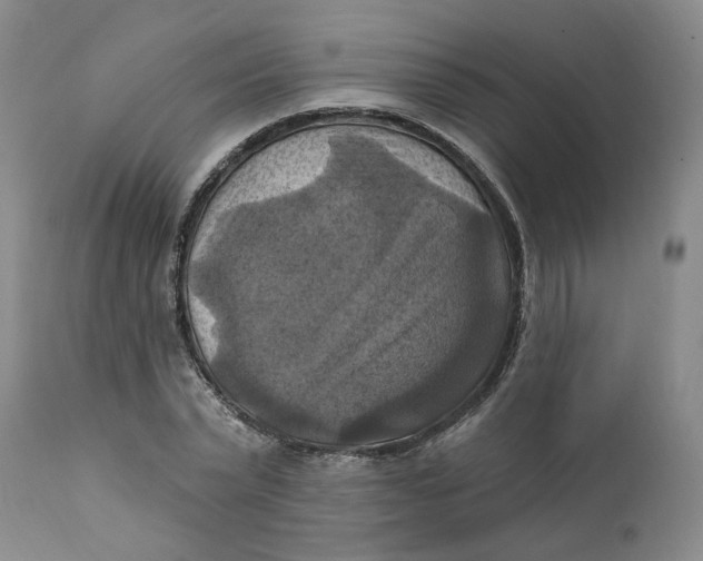 X0000112030783200908241537