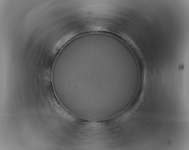 X0000112030785200908241537