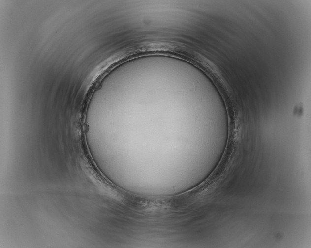 X0000112030786200908241537