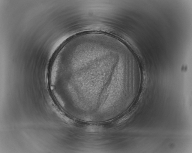 X0000112030788200908241537