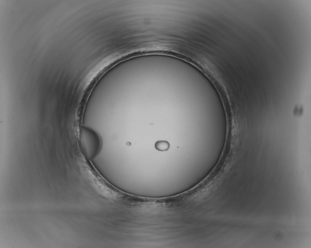 X0000112030789200908241537