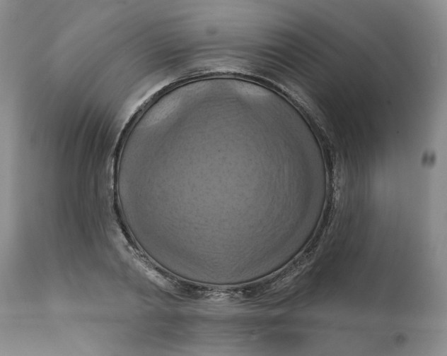 X0000112030790200908241537