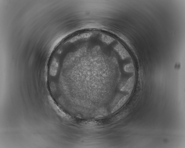 X0000112030791200908241537