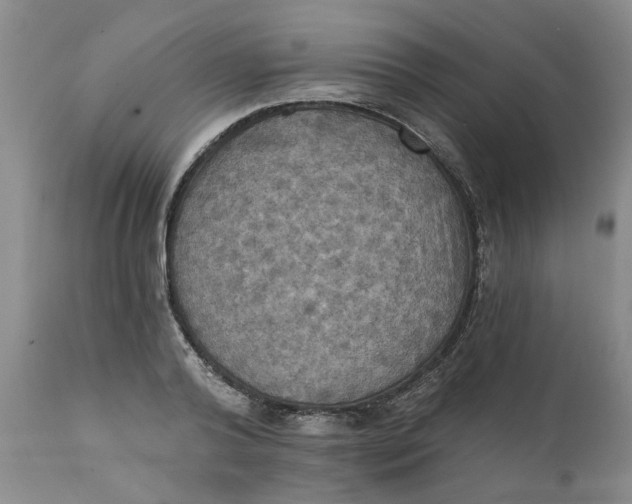 X0000112030792200908241537