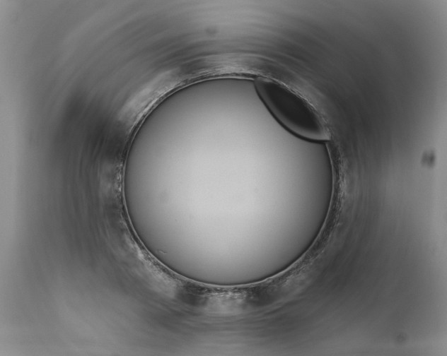 X0000112030793200908241537