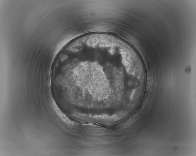 X0000112030795200908241537