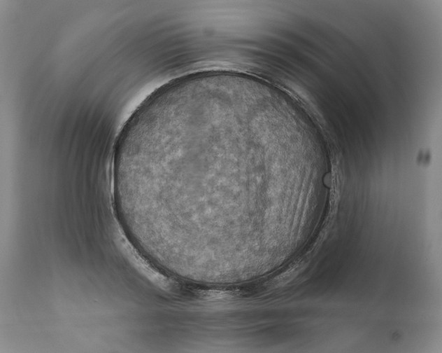 X0000112030796200908241537