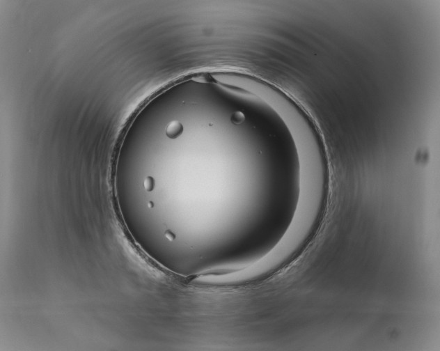 X0000112030797200908241537