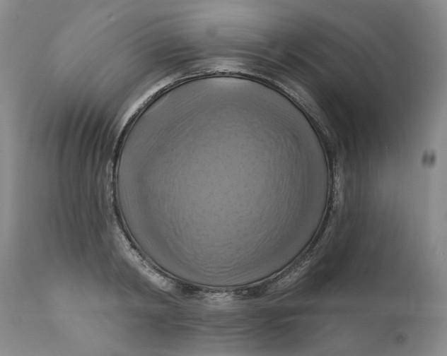 X0000112030798200908241537