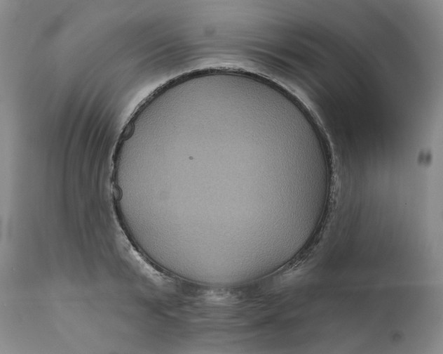 X0000112030799200908241537