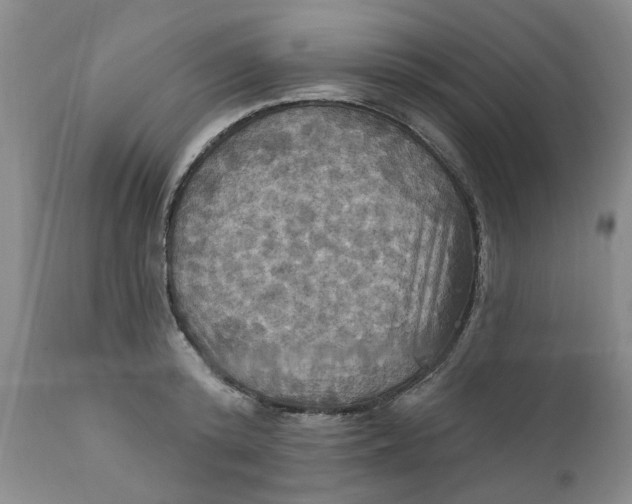 X0000112030800200908241537