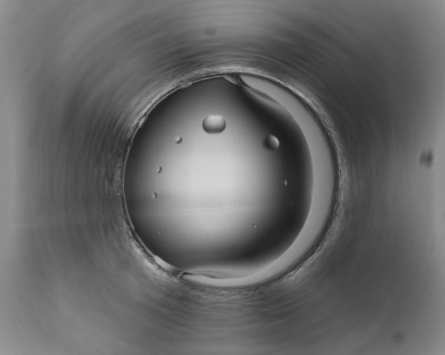 X0000112030801200908241537