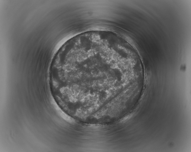 X0000112030803200908241537