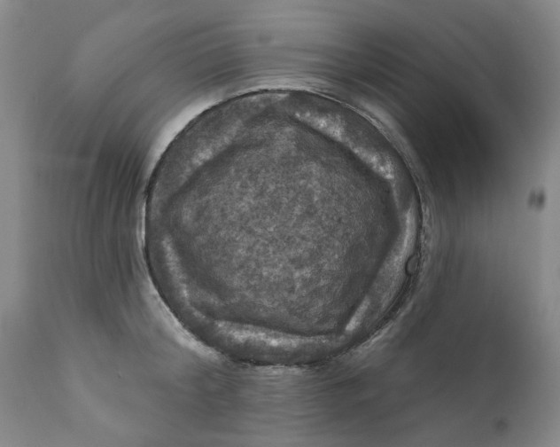 X0000112030804200908241537