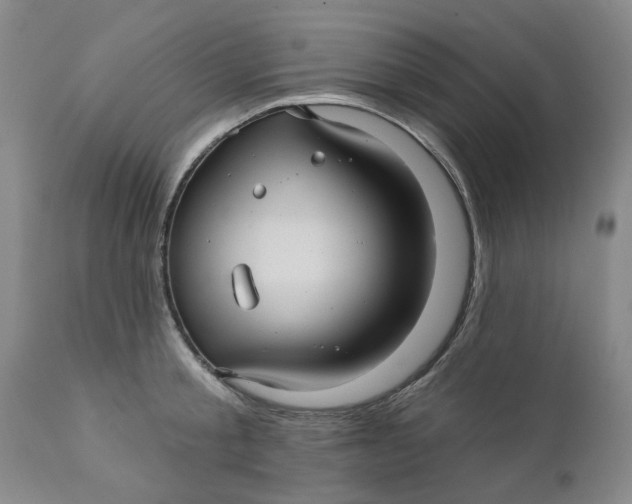 X0000112030805200908241537