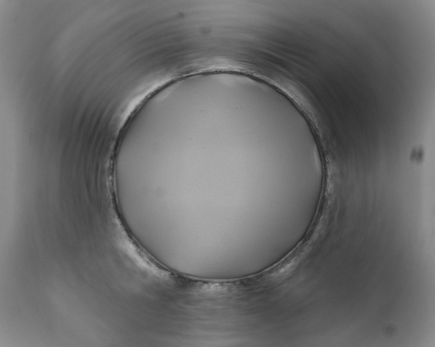 X0000112030806200908241537