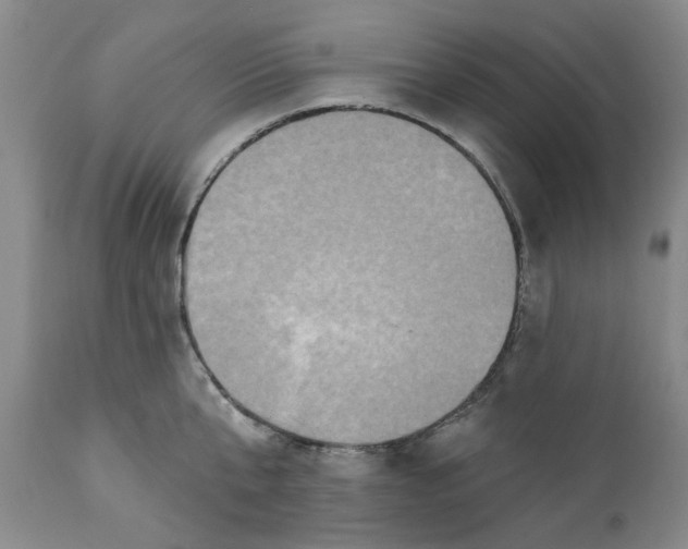 X0000112030807200908241537