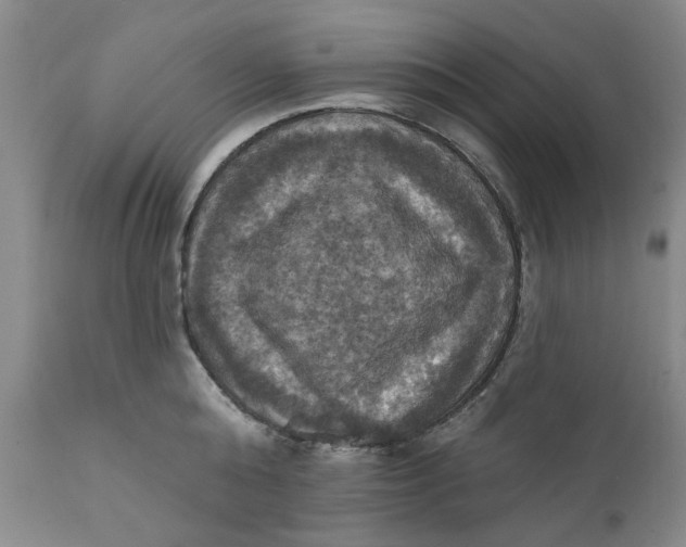 X0000112030808200908241537