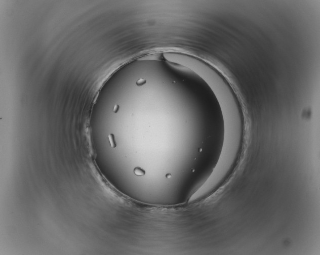 X0000112030809200908241537