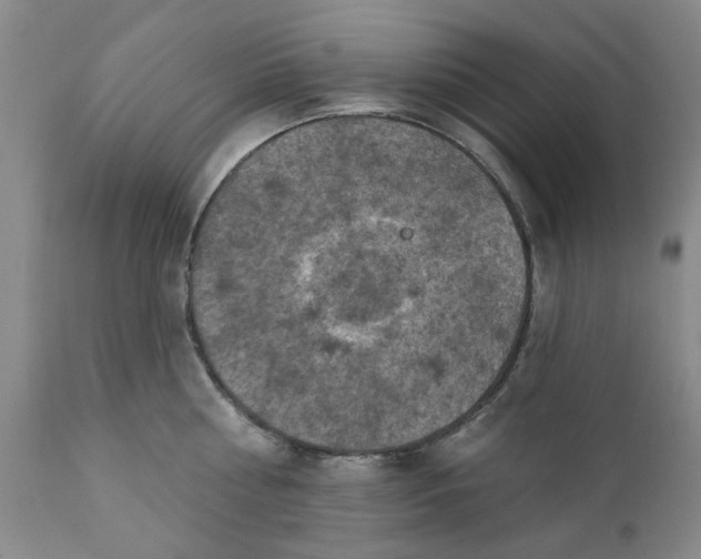 X0000112030810200908241537